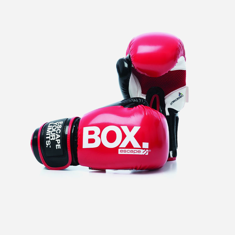 Training Gloves 10oz – Showroommodel