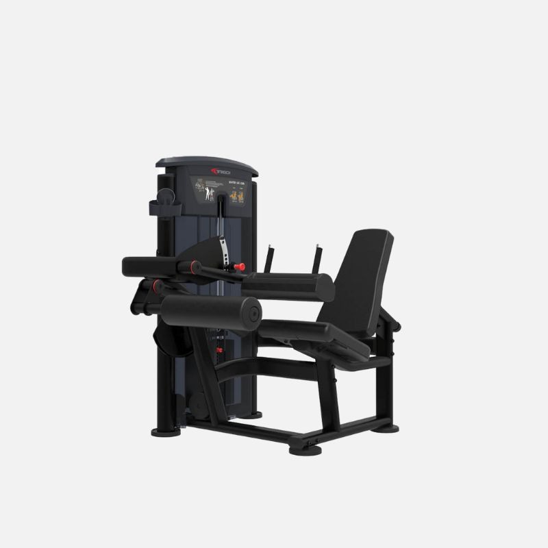 Seated Leg Curl