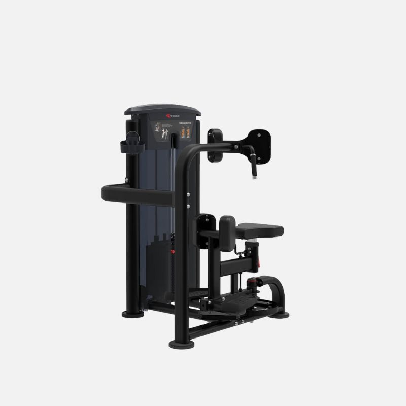 Torso Rotation