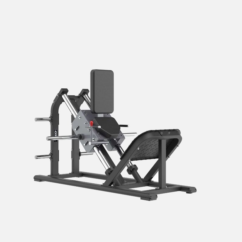 Hack Squat