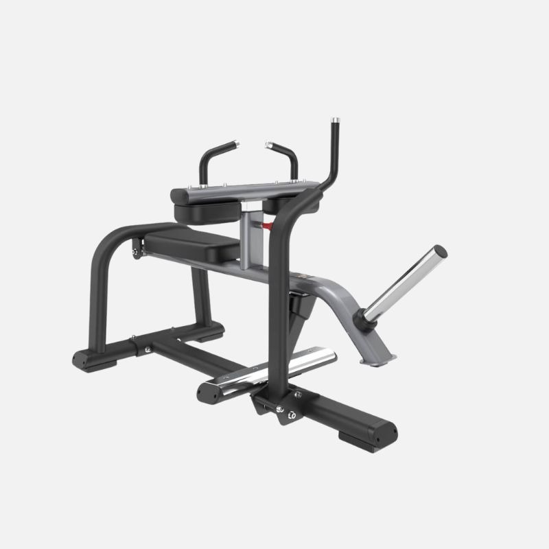 Seated Calf Raise