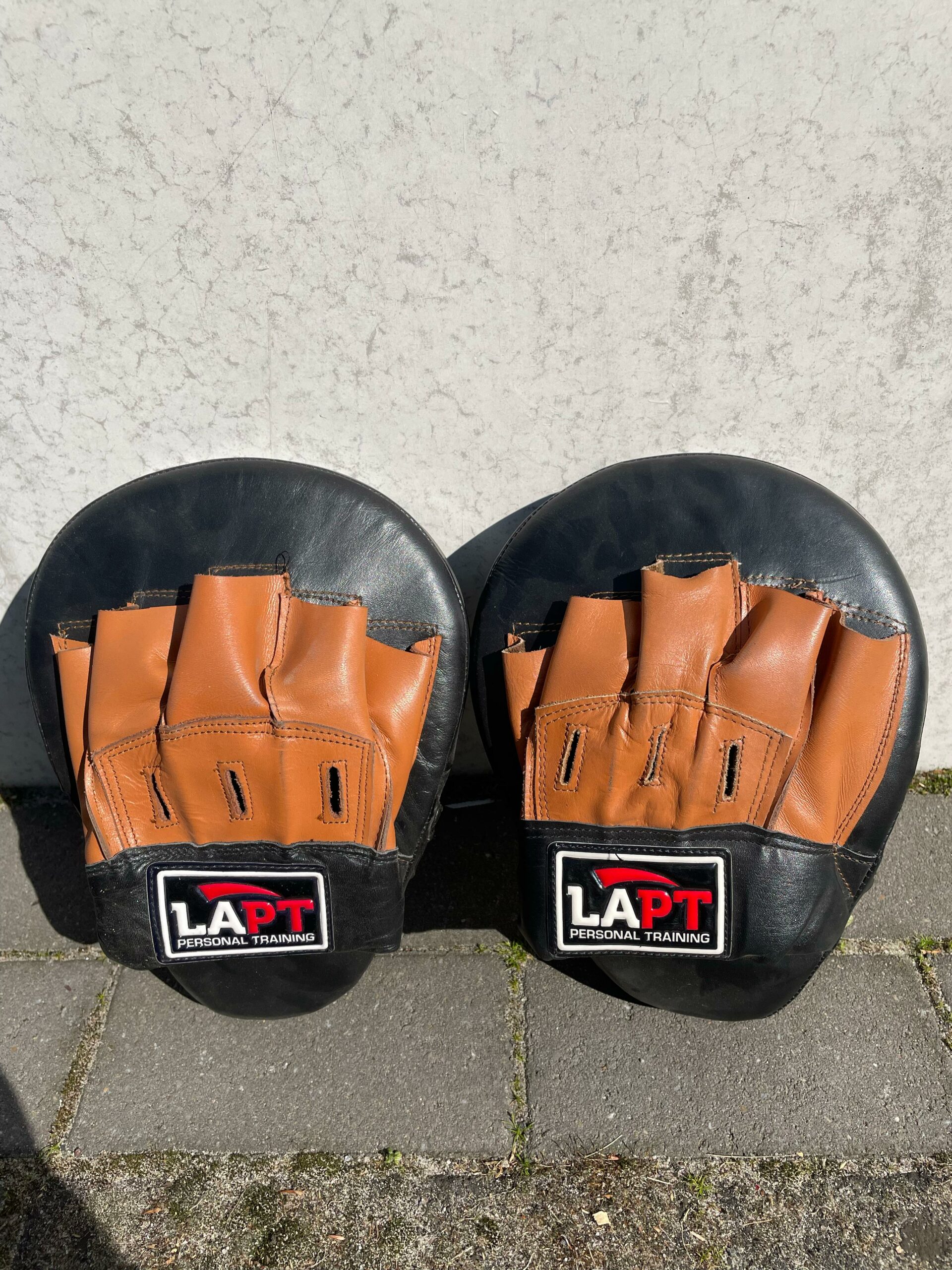 Focus Pads black/brown